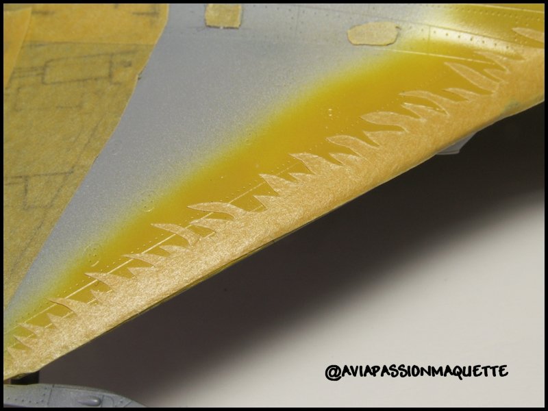 RAFALE B 1/72 HOBBYBOSS PICT5112